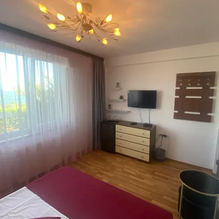 Casa de hóspedes Andreea Eforie Nord