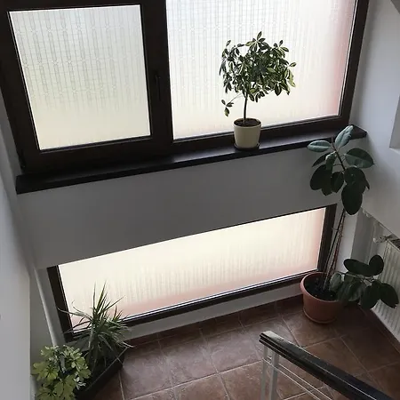 Casa de hóspedes Andreea