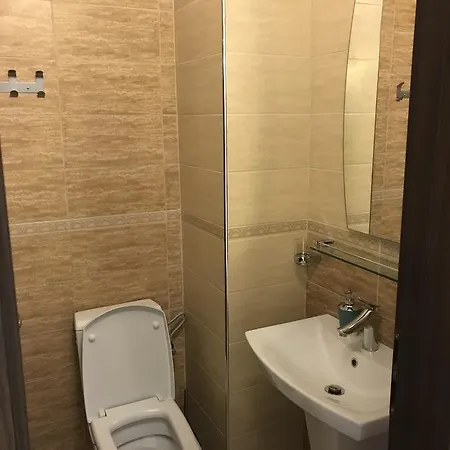 Casa de hóspedes Andreea 2*