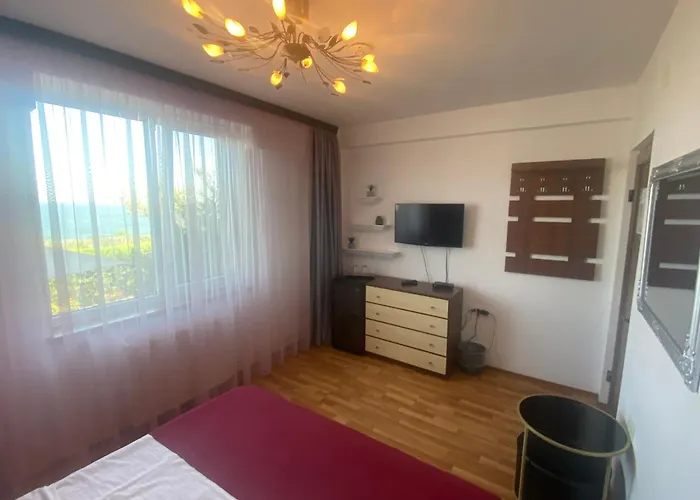 Pensiune Andreea Eforie Nord